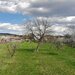 Teren intravilan, Prahova, Cornu De Jos toate utilitatile prezente 4898 mp